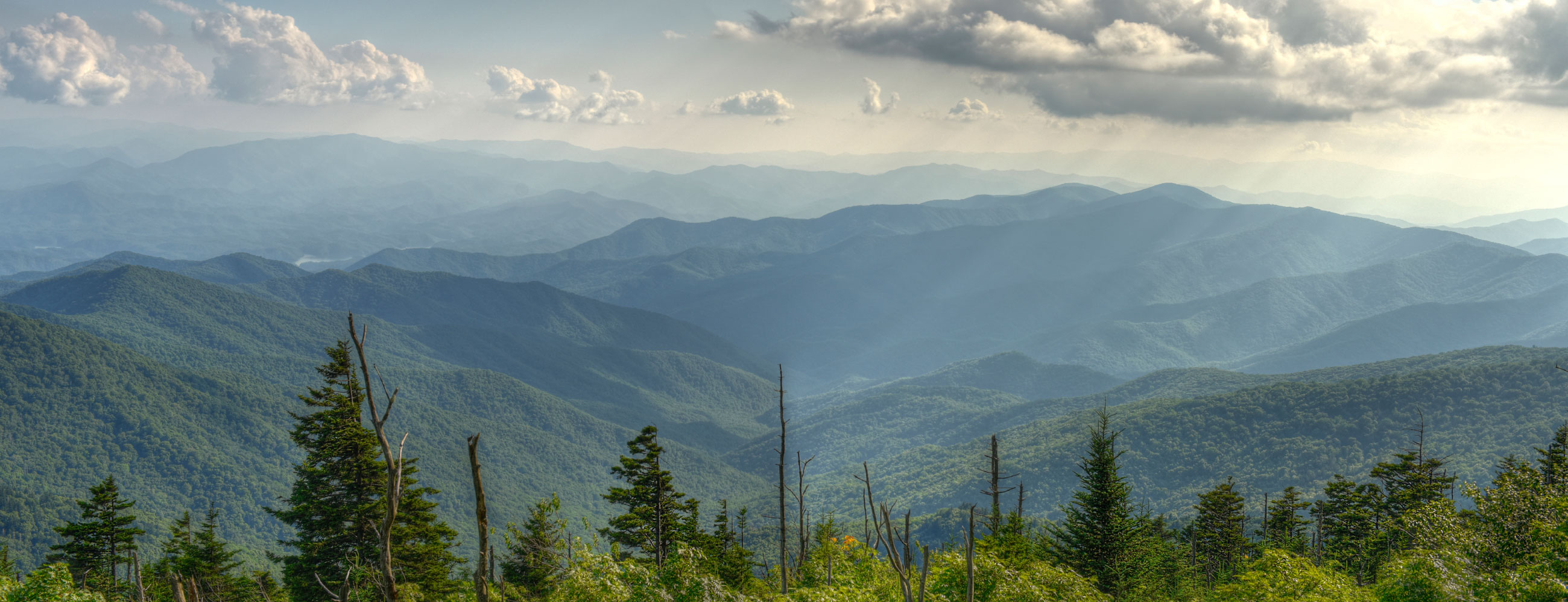 Обложка магазина Fantasy Soap