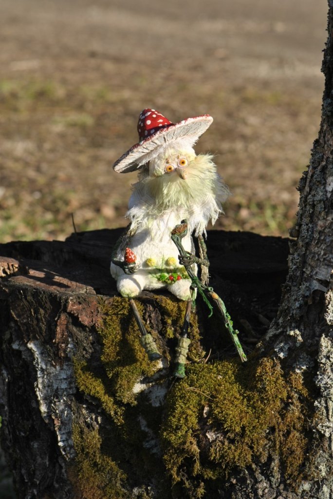 Дед Мухоморыч