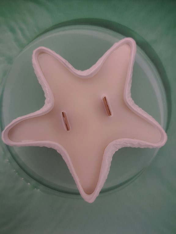 Свеча Морская звезда