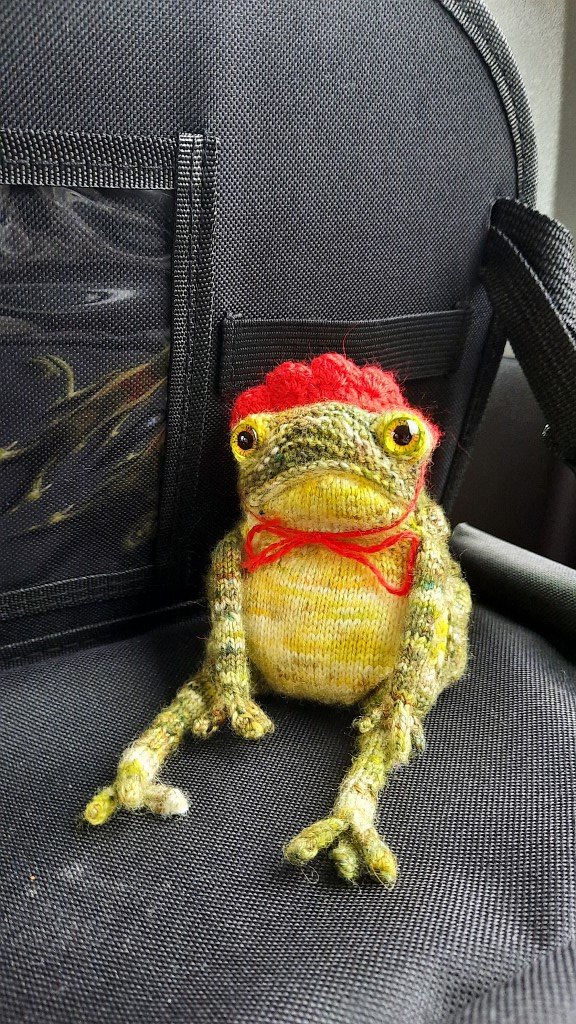 Зелёная породистая жаба