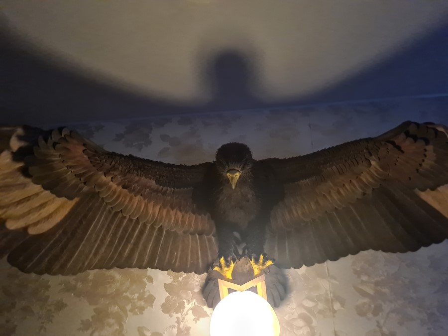 Фигура орла из фоамирана