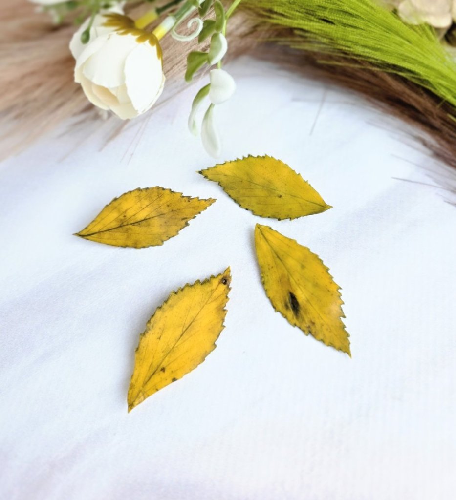 Броши «Листик берёзы»