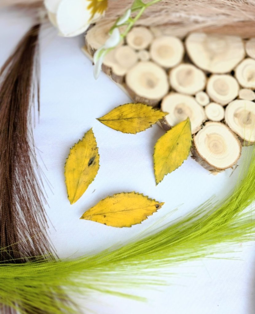 Броши «Листик берёзы»