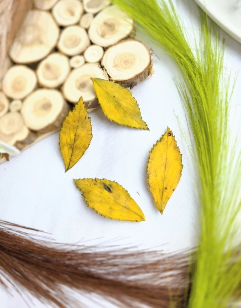 Броши «Листик берёзы»