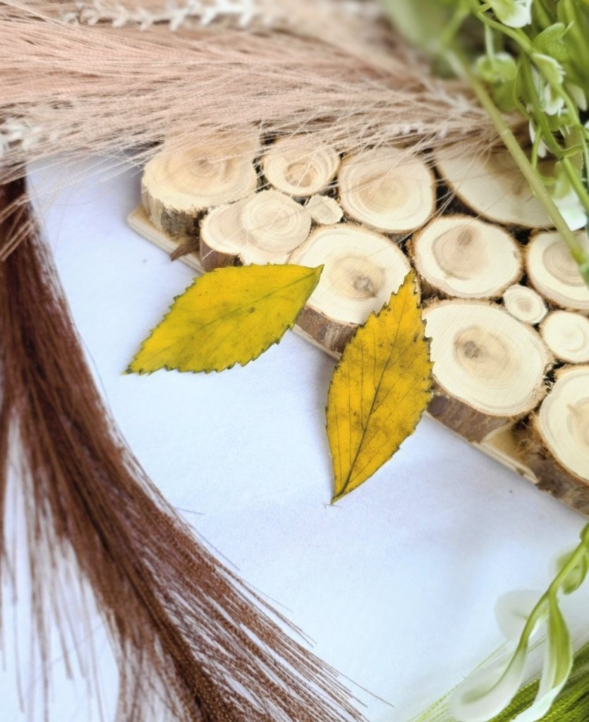 Броши «Листик берёзы»