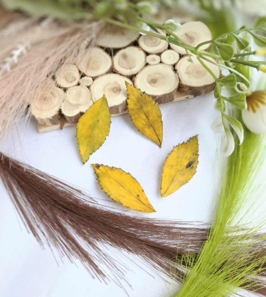 Броши «Листик берёзы»