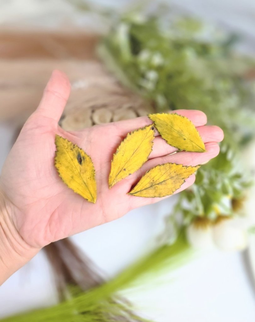 Броши «Листик берёзы»