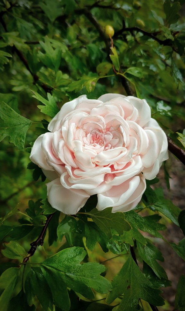 Брошь Остинка