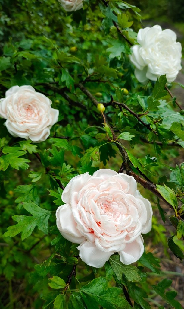 Брошь Остинка