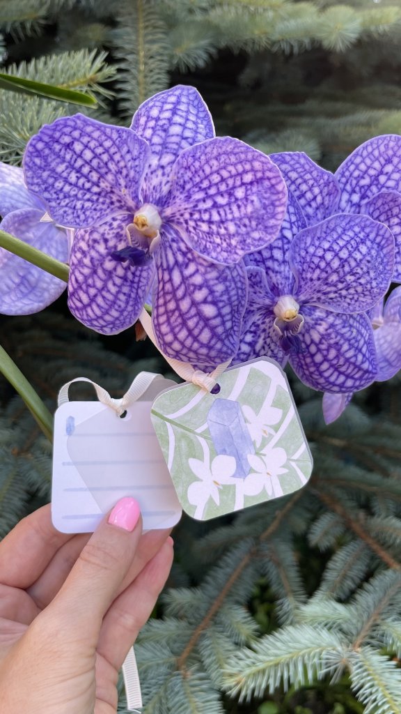 Открытка — бирка