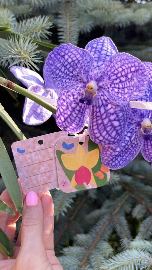 Открытка — бирка