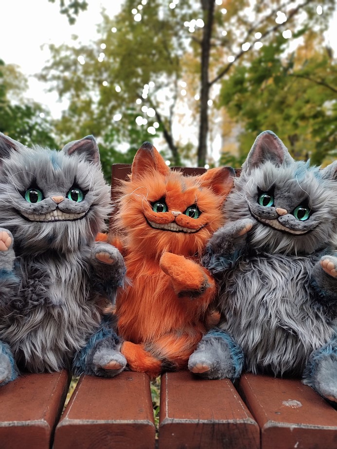 Чеширы для примера)