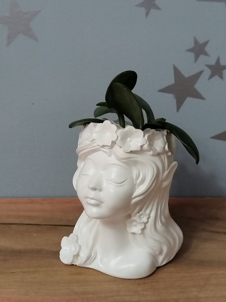 Кашпо декоративное. Лесная фея