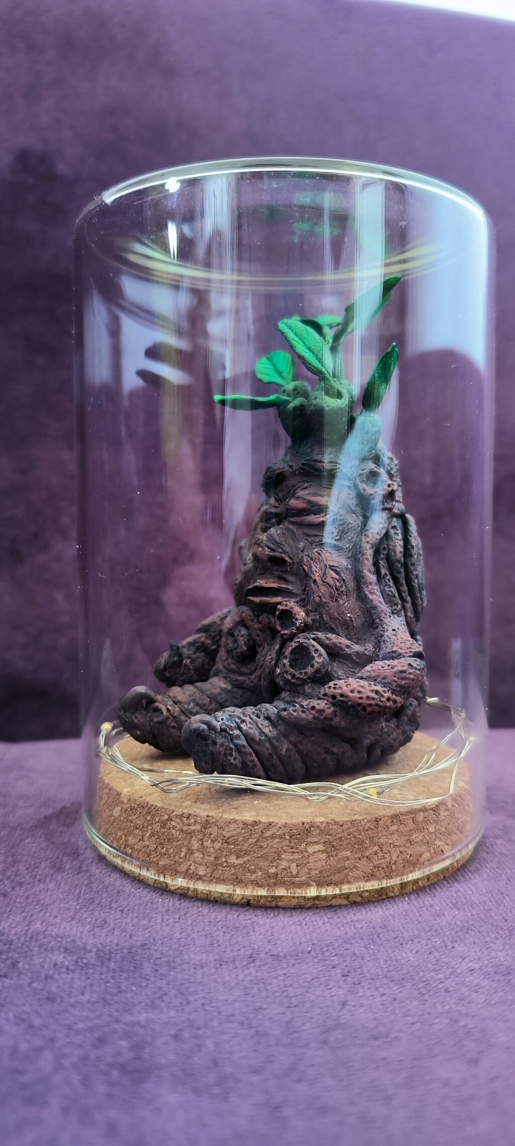 Мандрагора