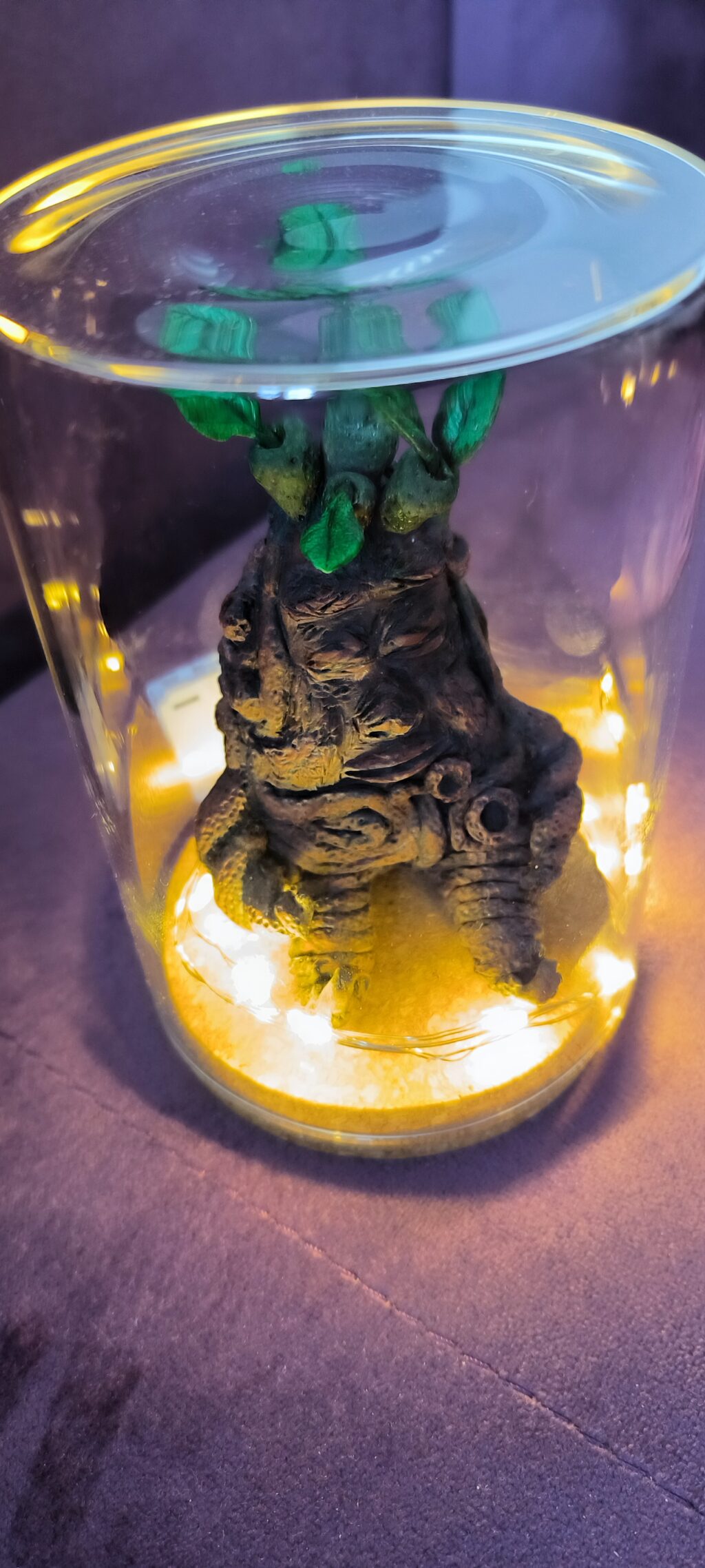 Мандрагора