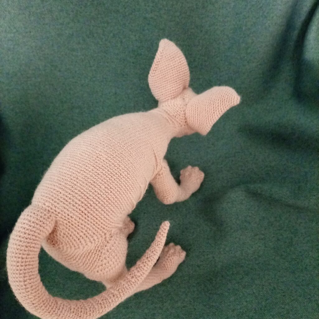 Сфинкс котенок вязаный