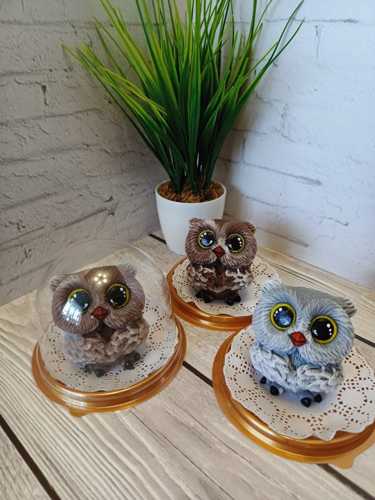 Совушки в куполе из мыла