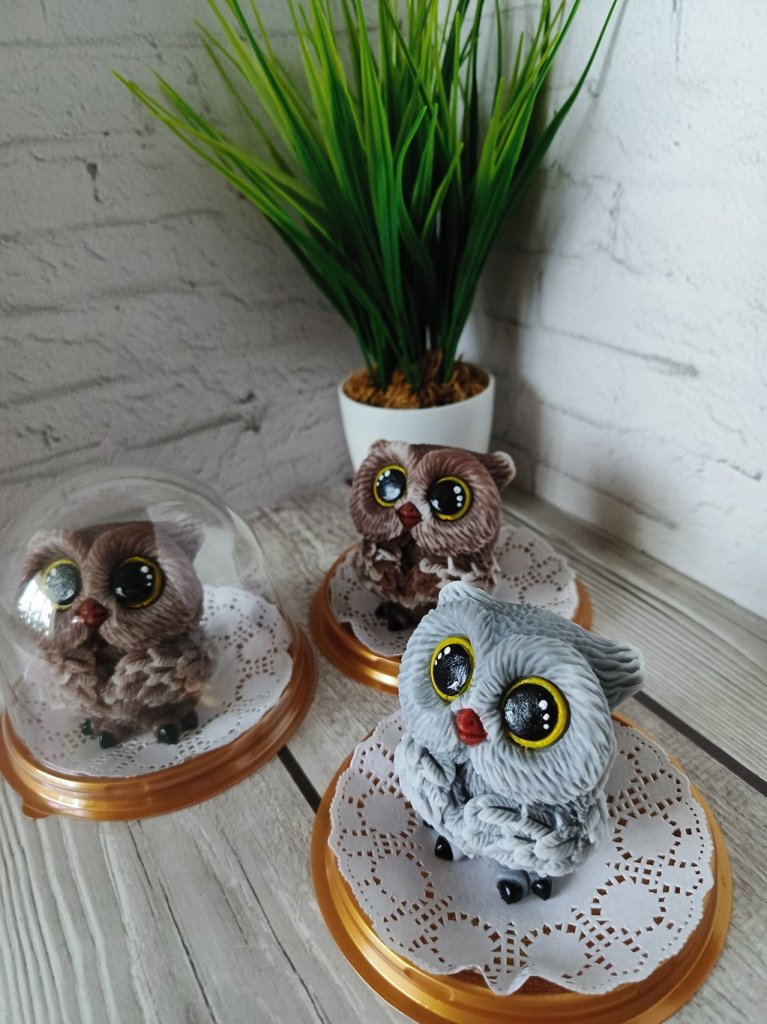 Совушки в куполе из мыла