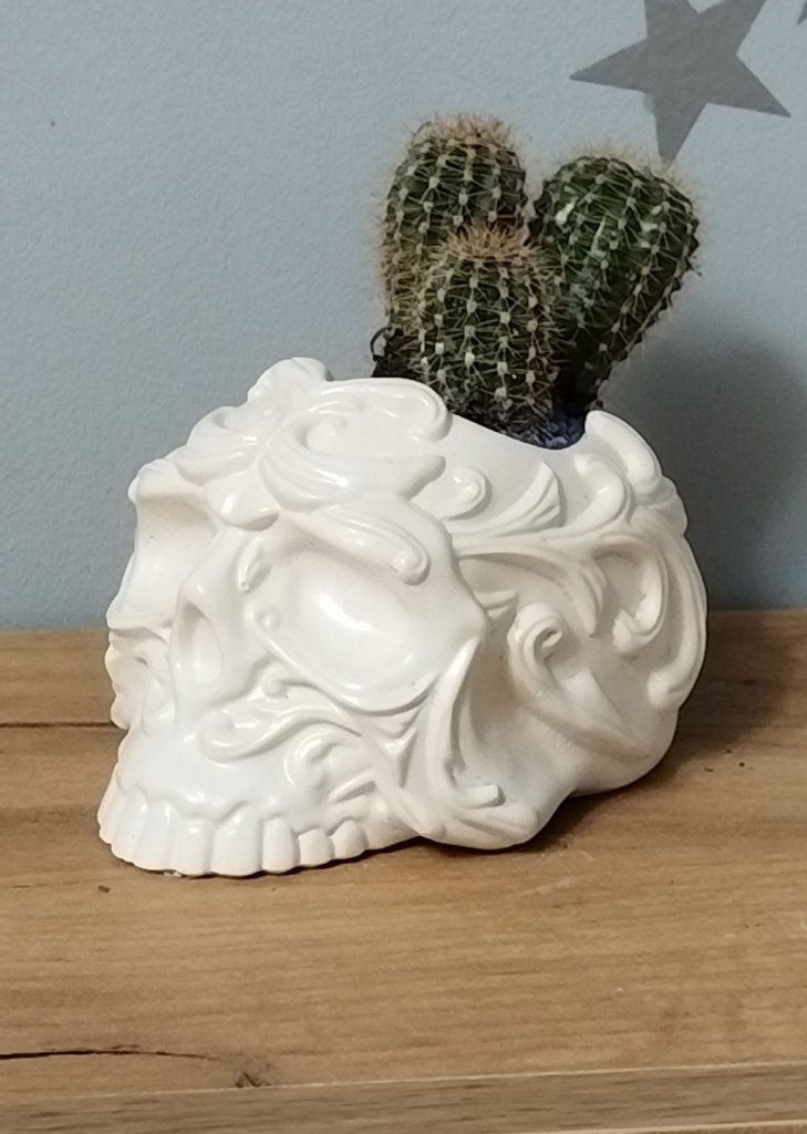 Кашпо Череп