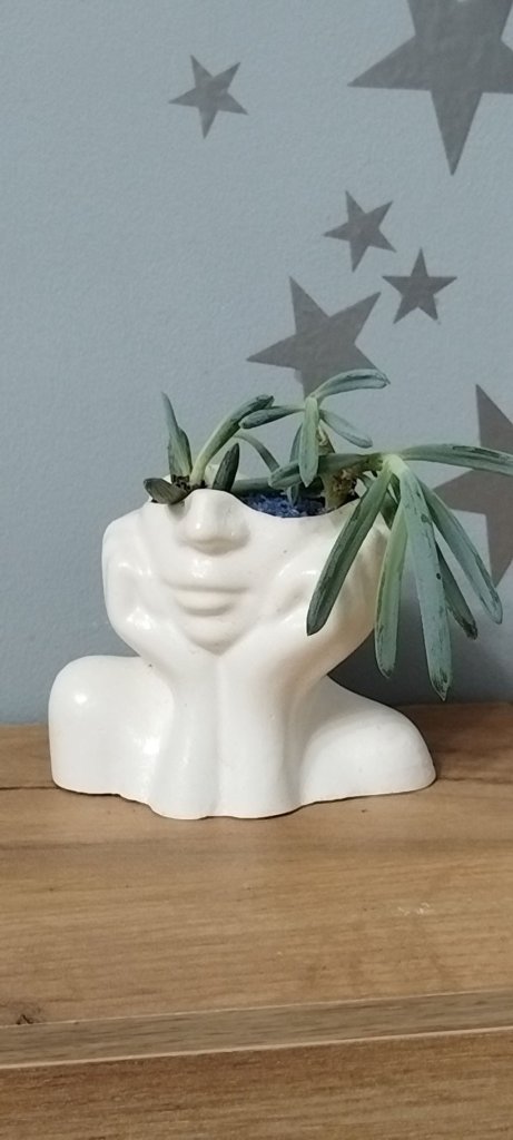 Кашпо декоративное. Ника