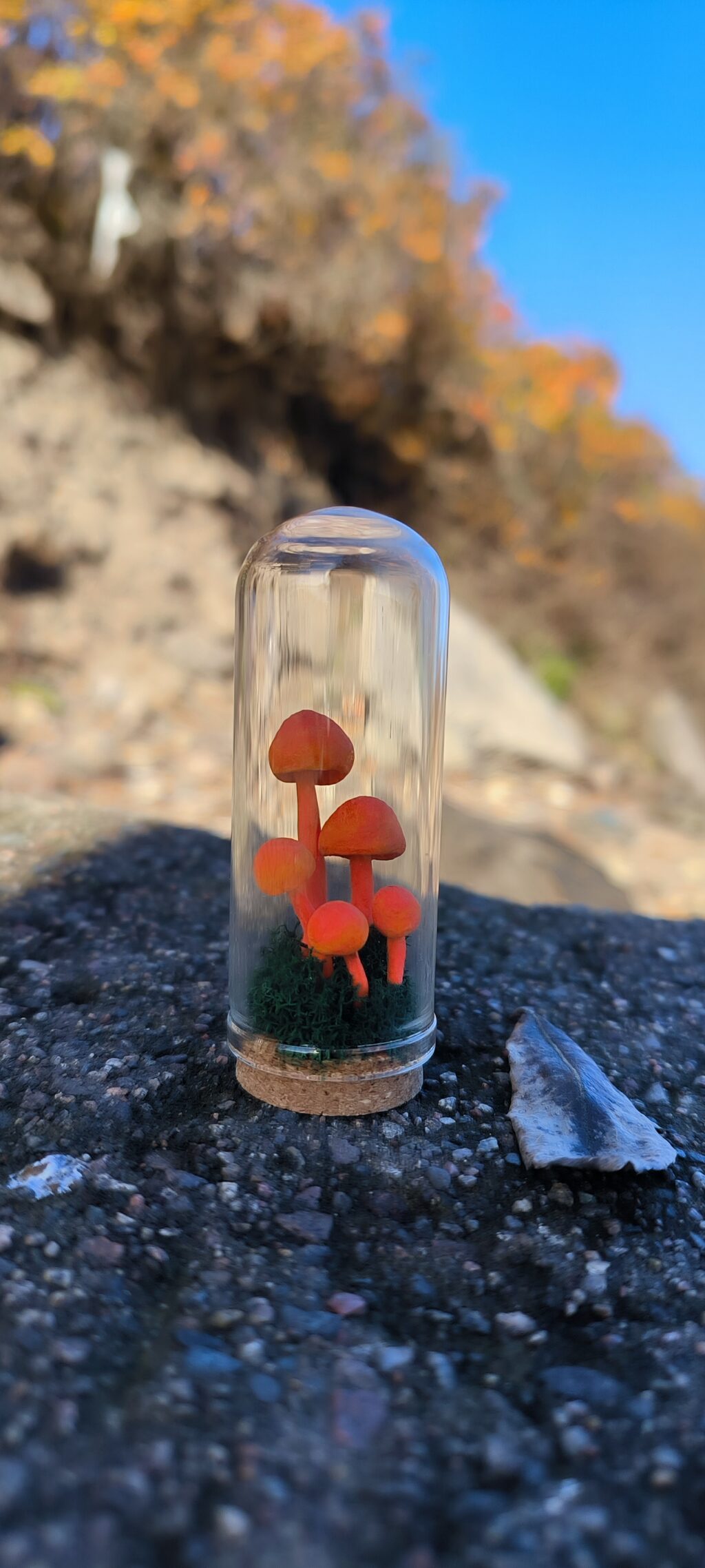 Клош «лесная полянка»