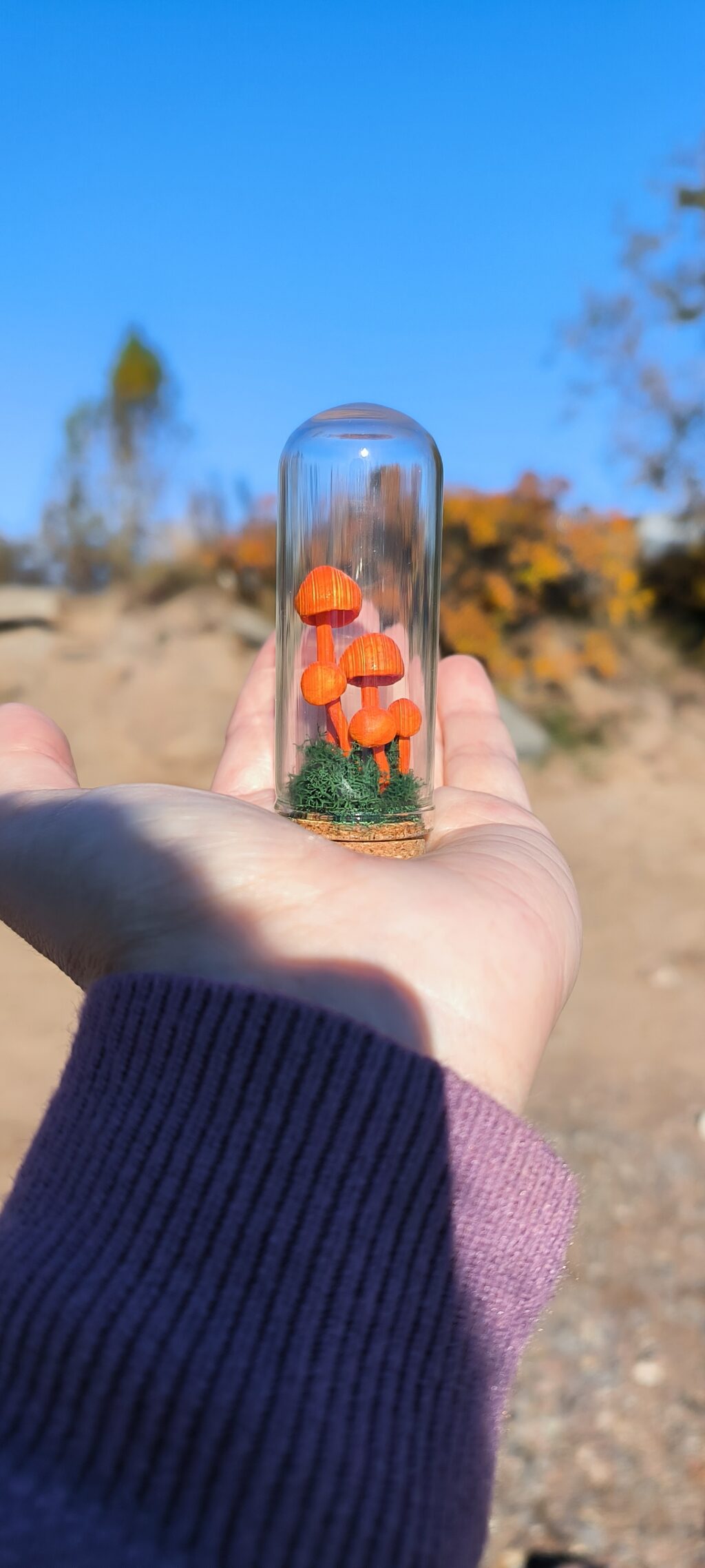 Клош «лесная полянка»