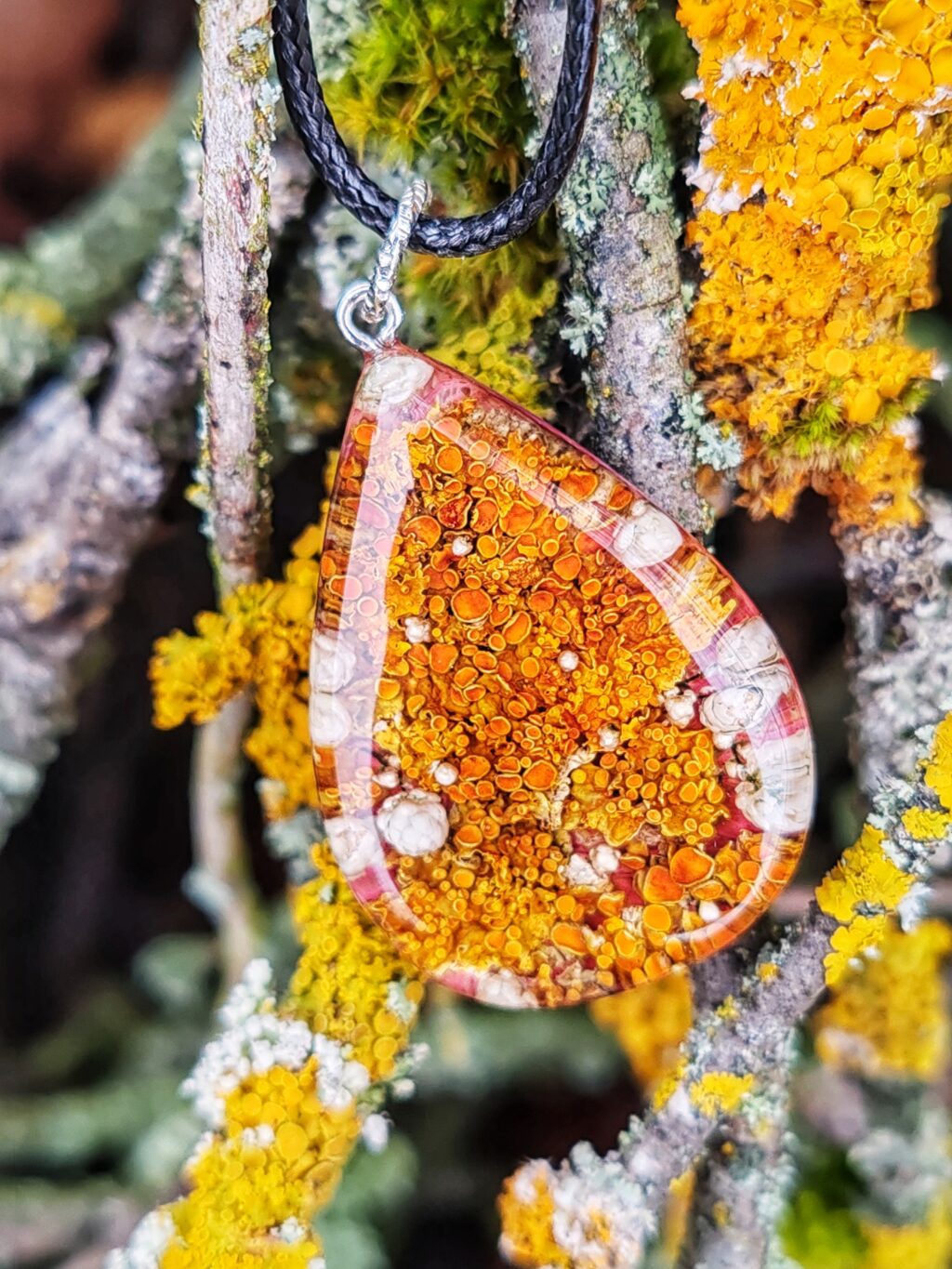 Кулон с лишайником Ксантория ?