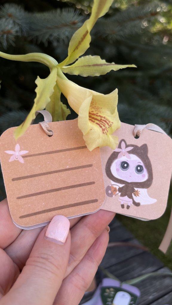 Открытка — бирка