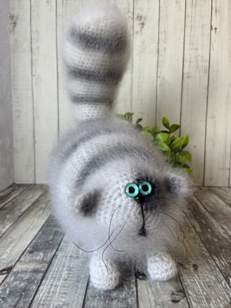 Кот «Бандит»