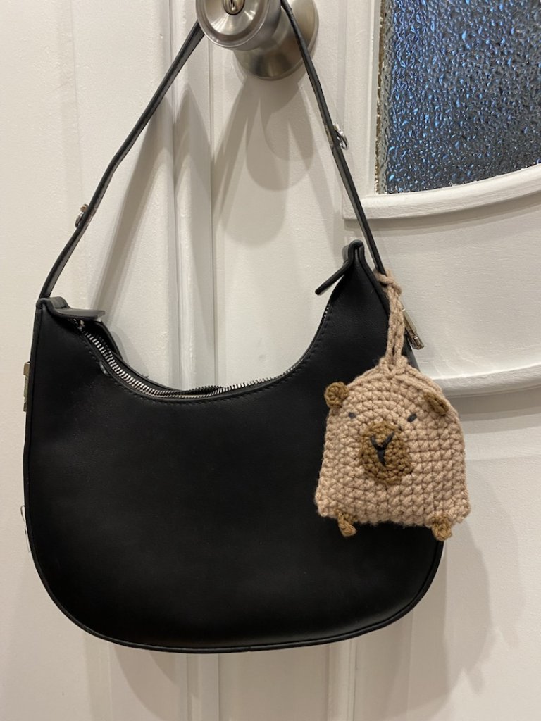 Чехол для наушников Капибара