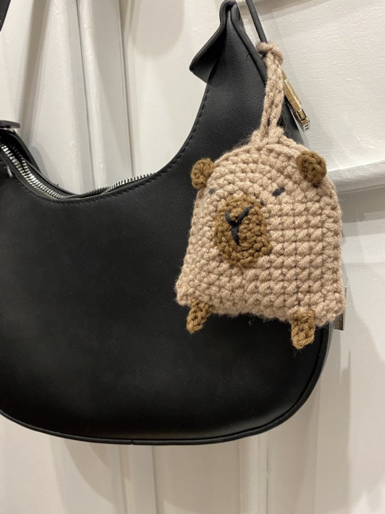 Чехол для наушников Капибара