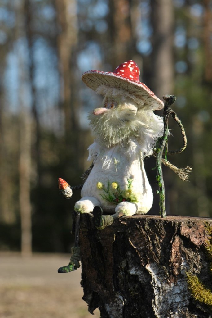 Дед Мухоморыч