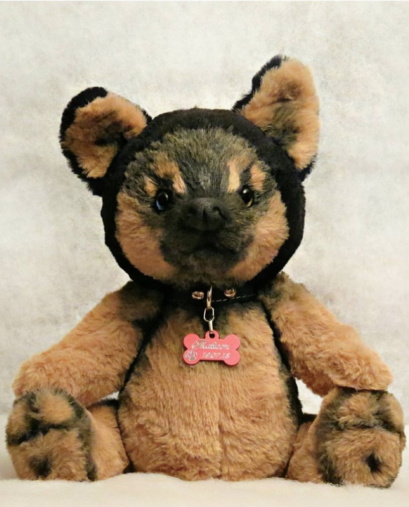 Щенок Овчарки в стиле Тедди «Тайсон»