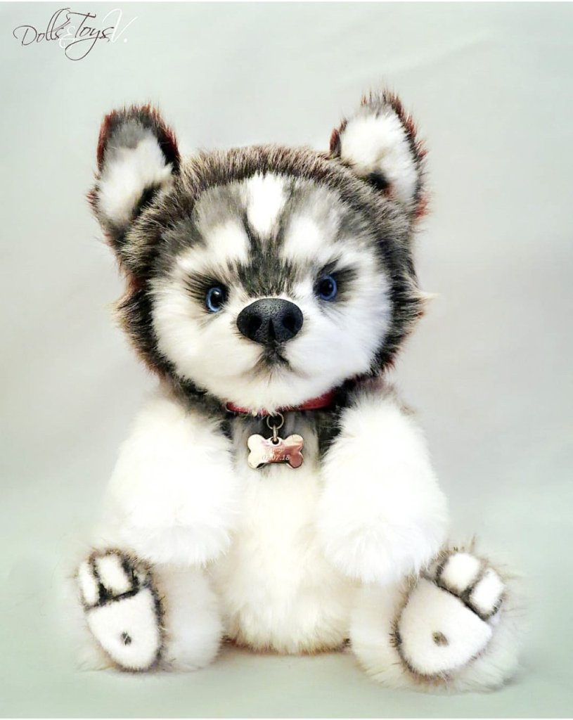 Щенок Хаски в стиле Тедди «Граф»