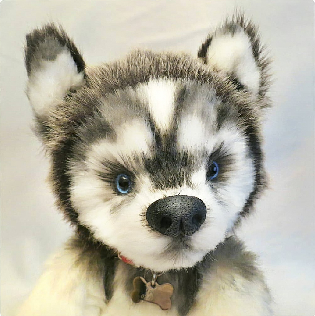 Щенок Хаски в стиле Тедди «Граф»