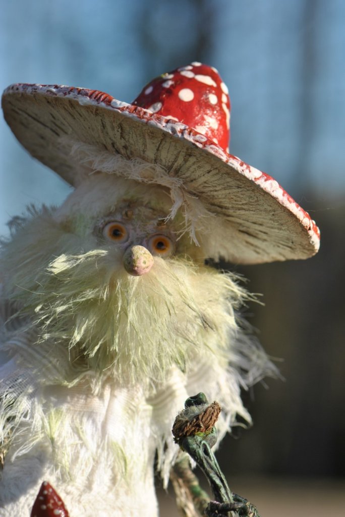 Дед Мухоморыч