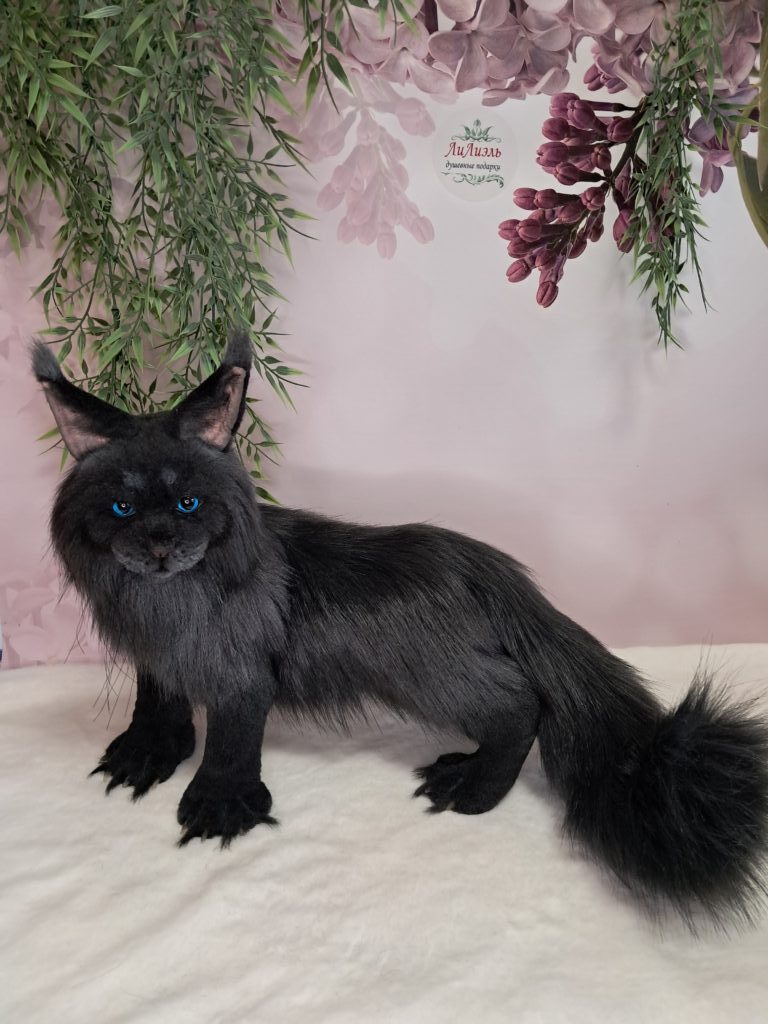 Кот МЭЙН-КУН