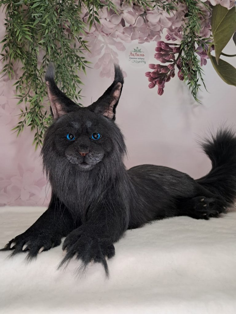 Кот МЭЙН-КУН