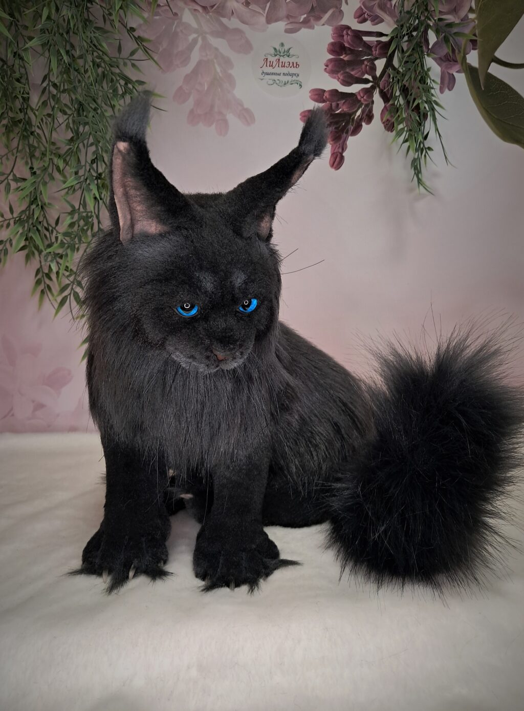 Кот МЭЙН-КУН