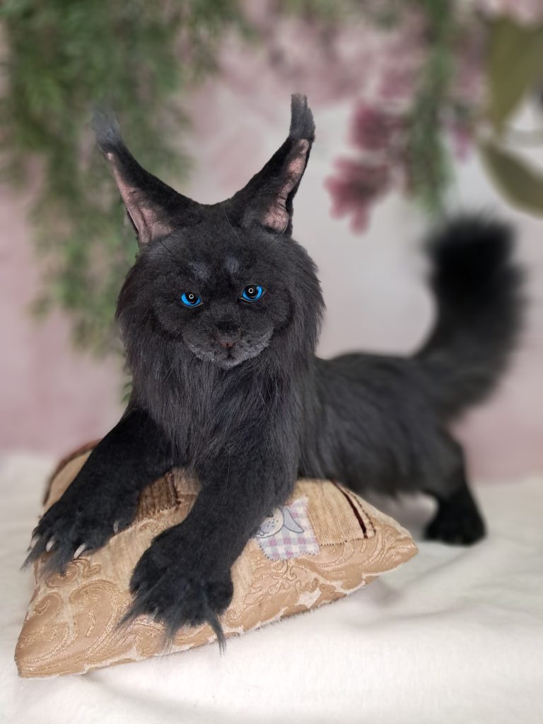 Кот МЭЙН-КУН