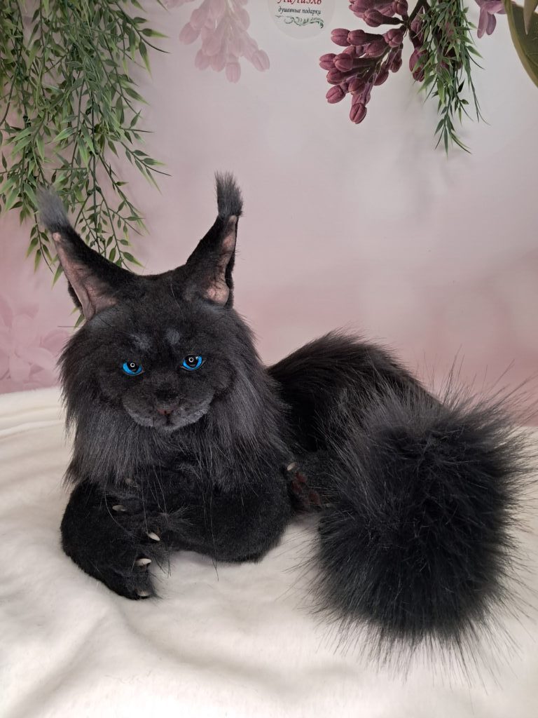 Кот МЭЙН-КУН