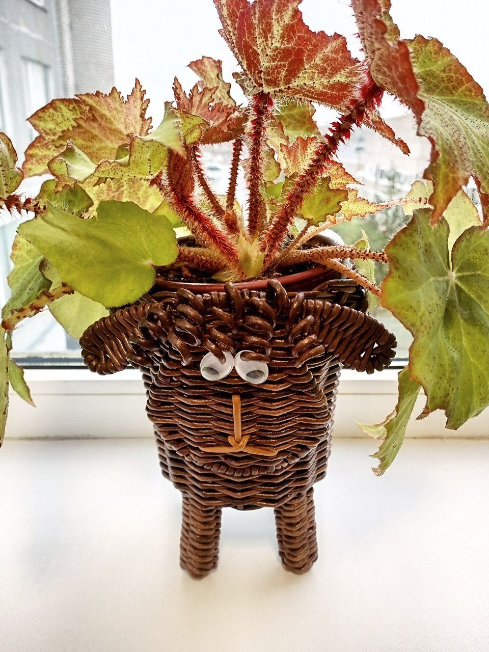 Кашпо «барашек»