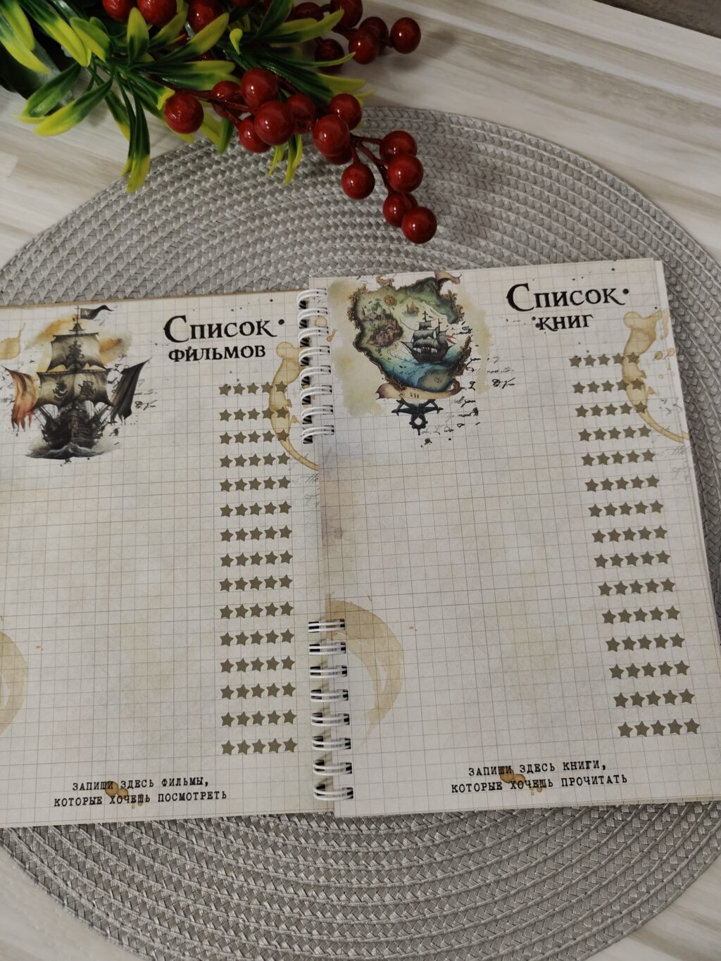 Планер Пираты