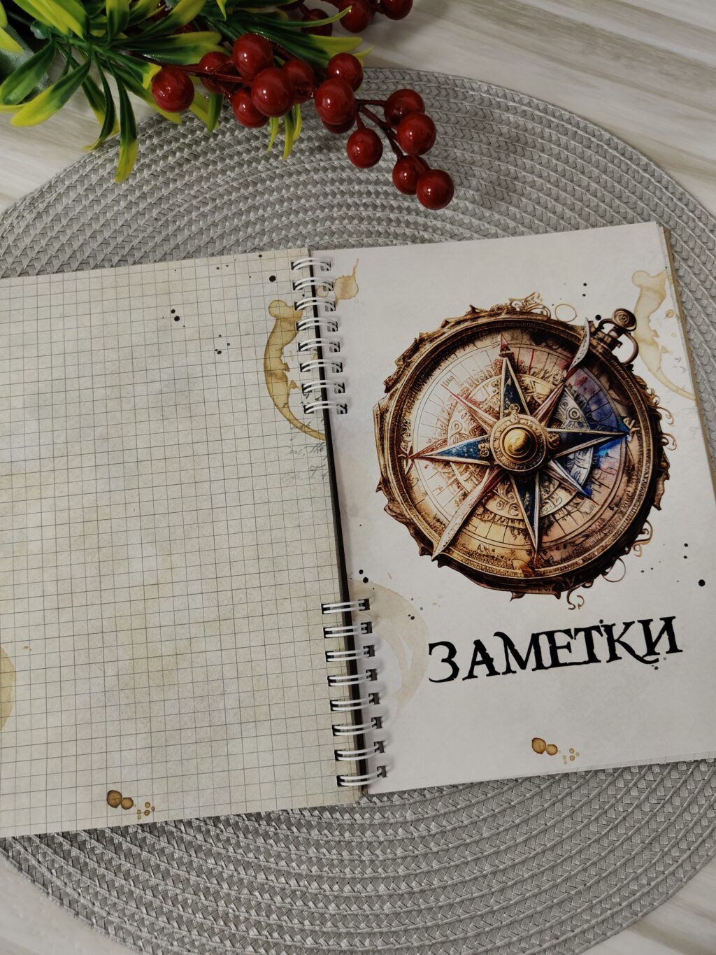 Планер Пираты