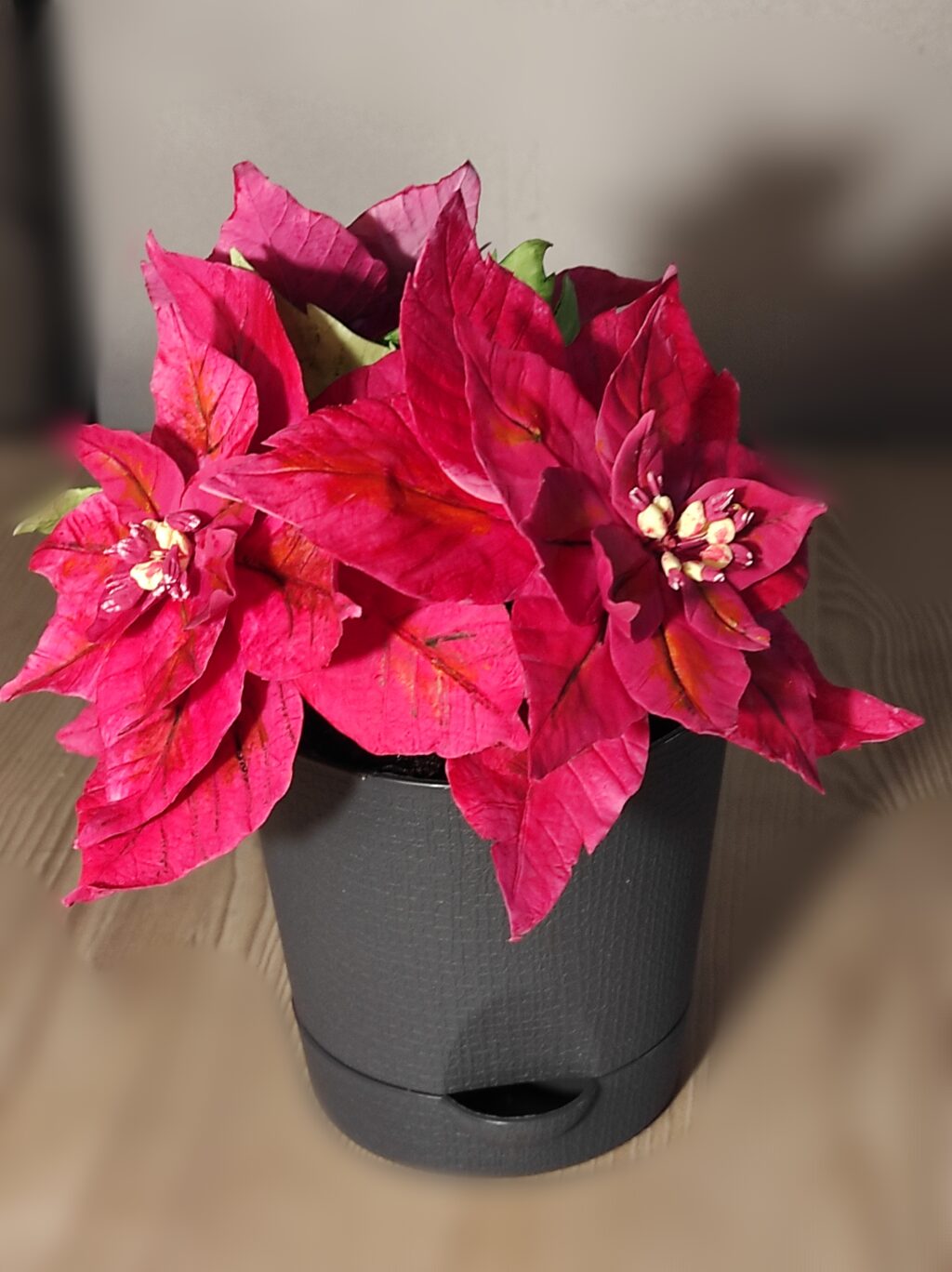 Пуансеттия из холодного фарфора