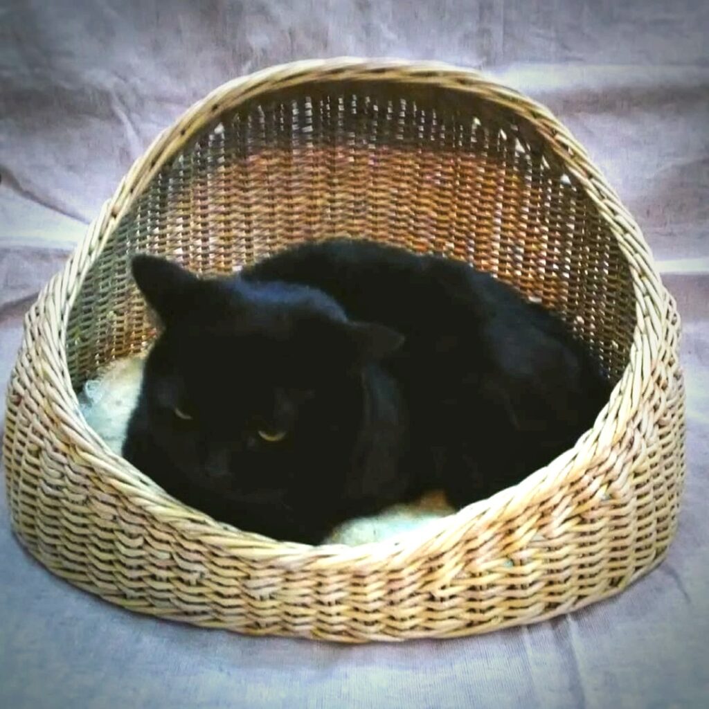 Домик-лежанка для питомца